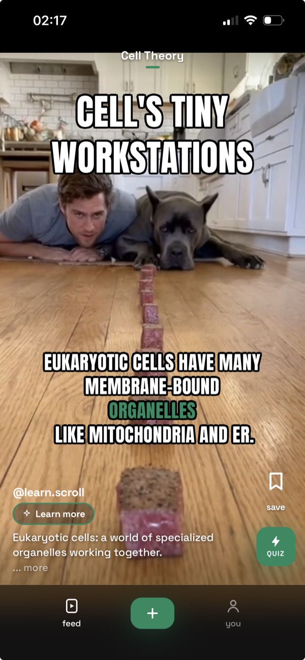 LearnScroll app feed preview